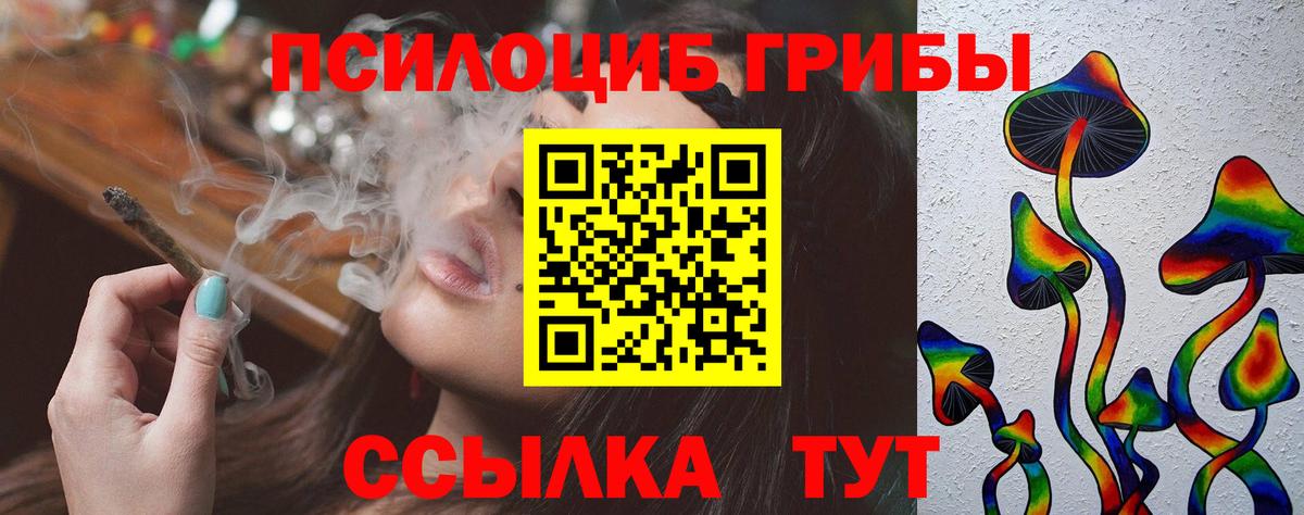 Волгоград  Псилоцибиновые грибы Cubensis  Вход с VPN 
