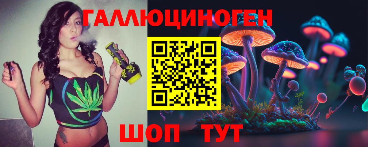Галлюциногенные грибы Cubensis Волгоград