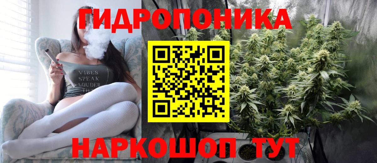 Марихуана конопля  Вход с VPN  Конопля план  Волгоград  МАРИХУАНА тримм 